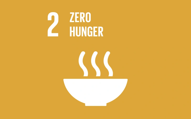 UN Global Goals – Goal 2: Zero Hunger