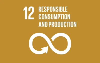 UN Global Goals – Goal 12 – Responsible Consumption and Production