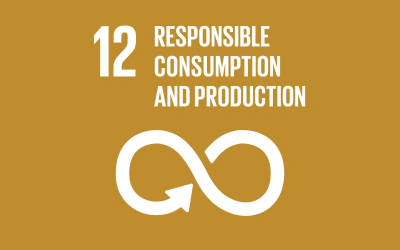 UN Global Goals – Goal 12 – Responsible Consumption and Production