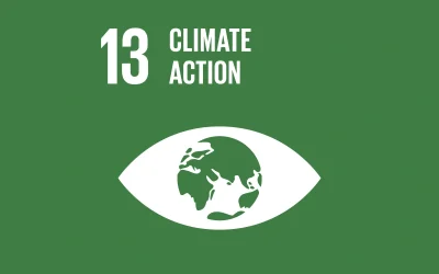 UN Global Goals – Goal 13 – Climate Action