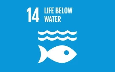 UN Global Goals – Goal 14 – Life Below Water