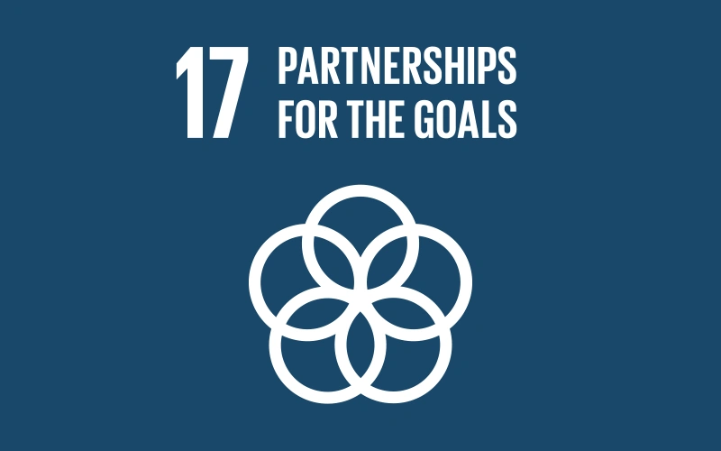UN-Global-Goals-Goal-17-Partnerships-for-the-Goals